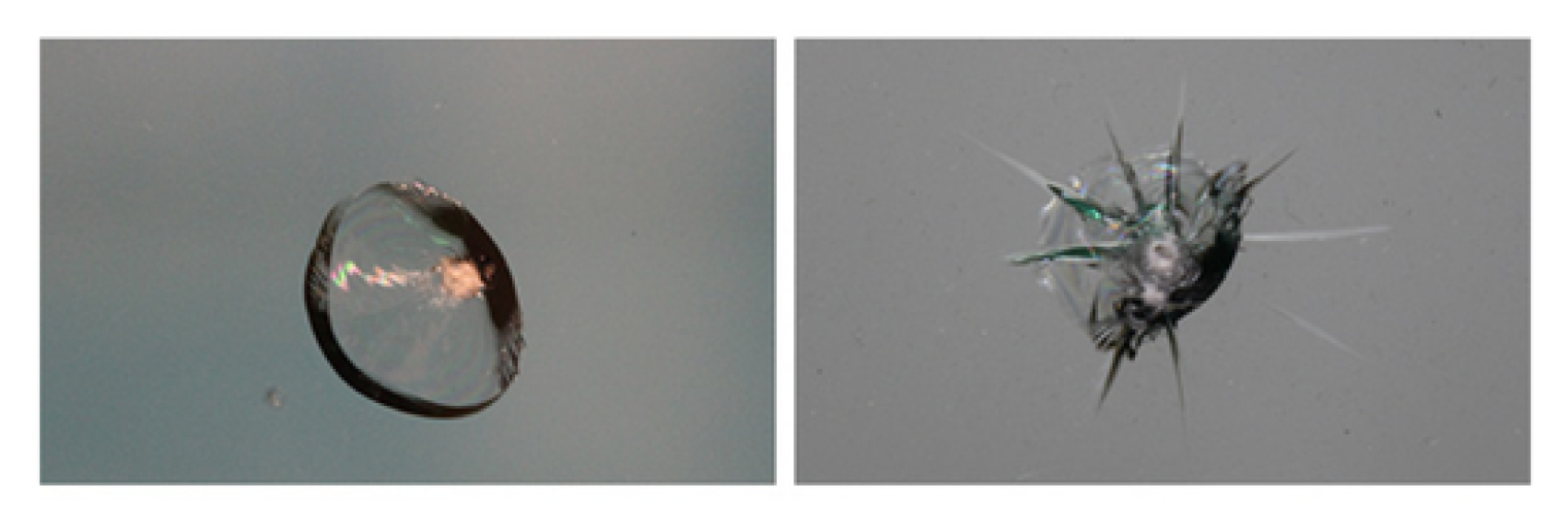 自由なデザイン変更